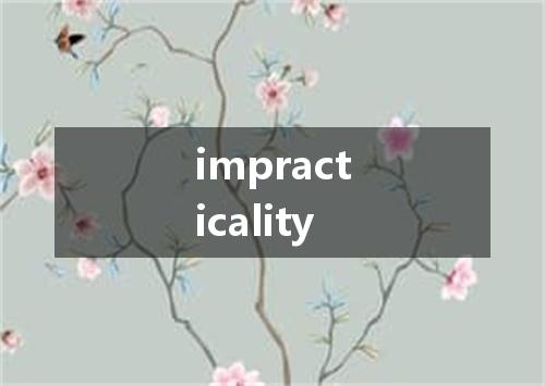 impracticality是什么意思