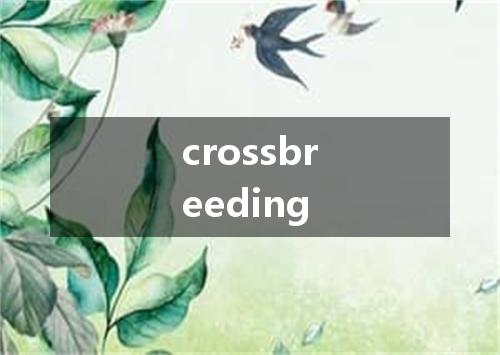 crossbreeding是什么意思