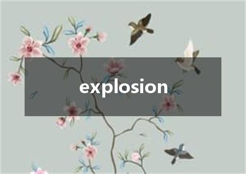 explosion是什么意思