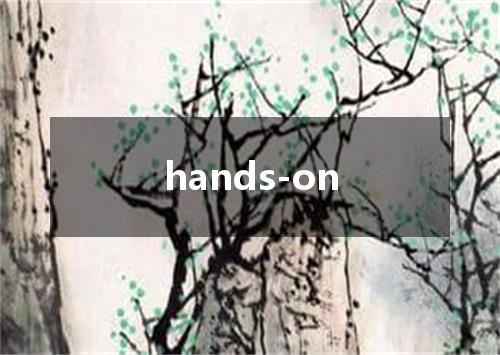 hands-on是什么意思
