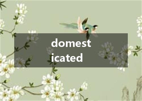 domesticated是什么意思