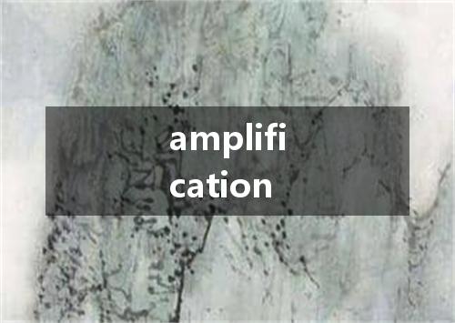 amplification是什么意思