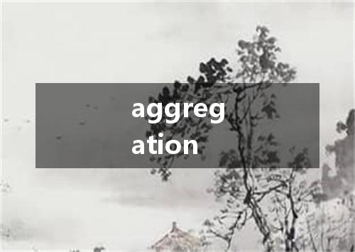 aggregation是什么意思