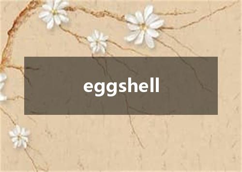 eggshell是什么意思
