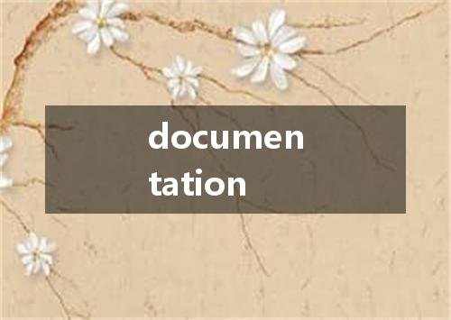 documentation是什么意思