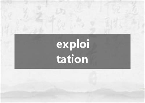 exploitation是什么意思
