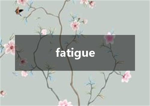 fatigue是什么意思