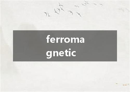 ferromagnetic是什么意思