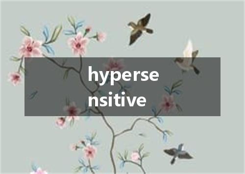 hypersensitive是什么意思