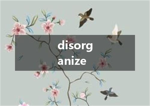 disorganize是什么意思