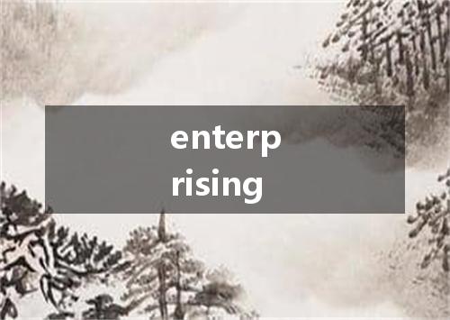 enterprising是什么意思