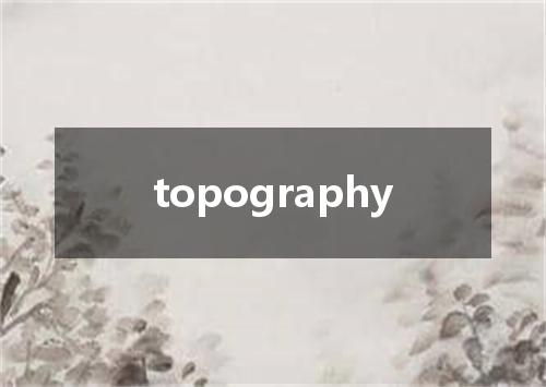 topography是什么意思