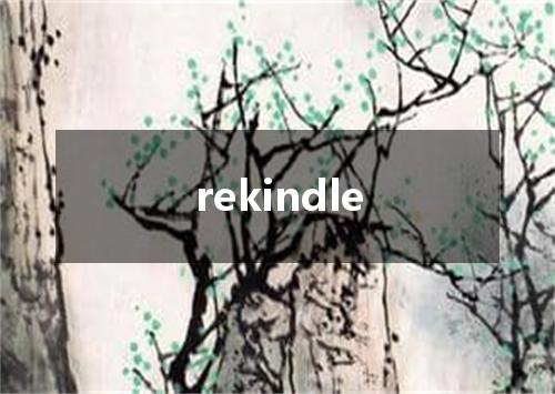 rekindle是什么意思