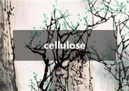 cellulose是什么意思