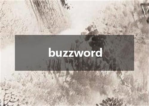 buzzword是什么意思