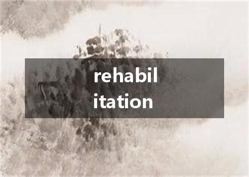 rehabilitation是什么意思