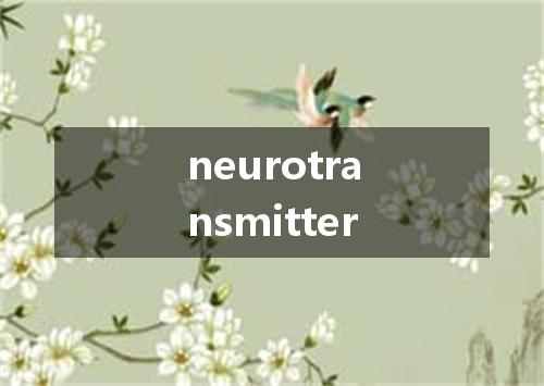 neurotransmitter是什么意思