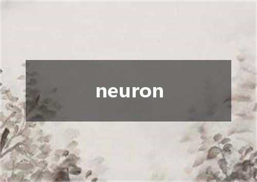 neuron是什么意思