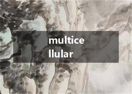 multicellular是什么意思