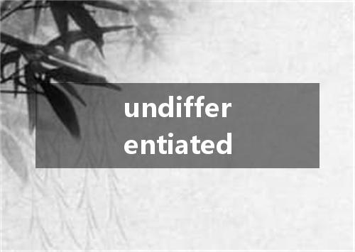 undifferentiated是什么意思