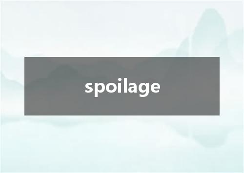 spoilage是什么意思