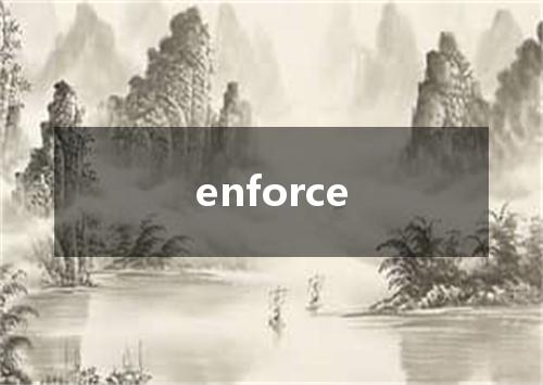 enforce是什么意思