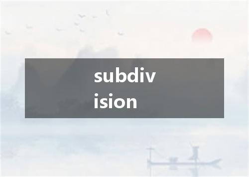 subdivision是什么意思