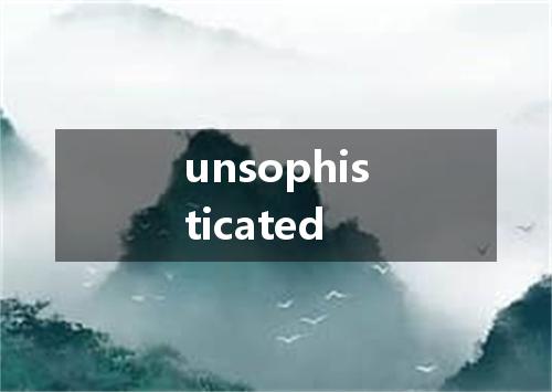 unsophisticated是什么意思