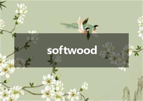 softwood是什么意思