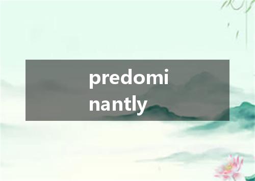 predominantly是什么意思