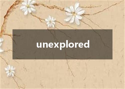 unexplored是什么意思