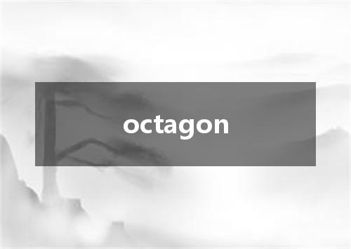 octagon是什么意思