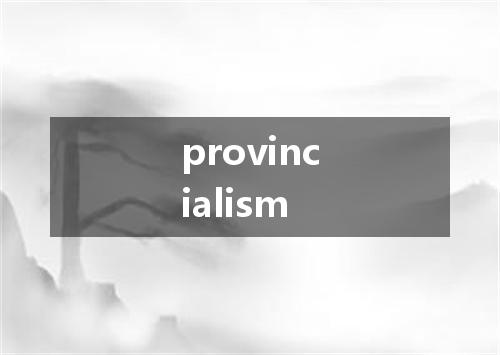 provincialism是什么意思