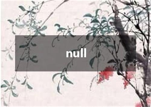 null是什么意思