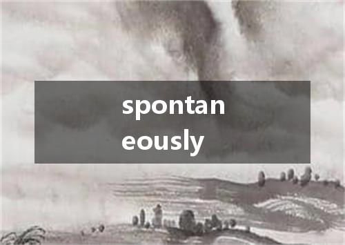 spontaneously是什么意思