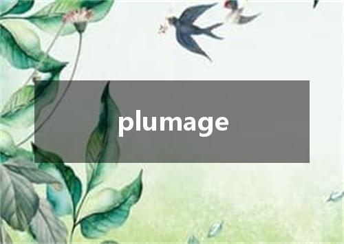 plumage是什么意思
