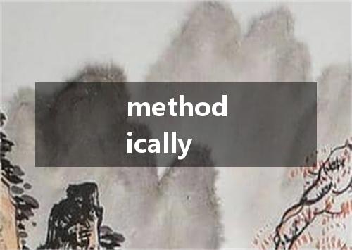 methodically是什么意思
