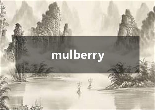 mulberry是什么意思
