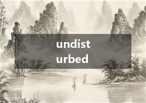 undisturbed是什么意思