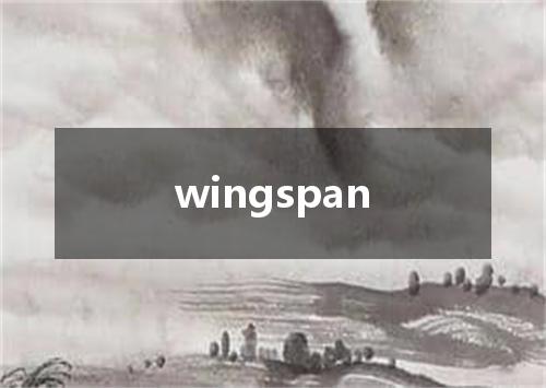wingspan是什么意思