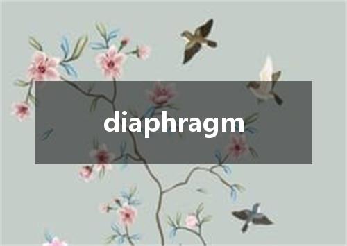 diaphragm是什么意思