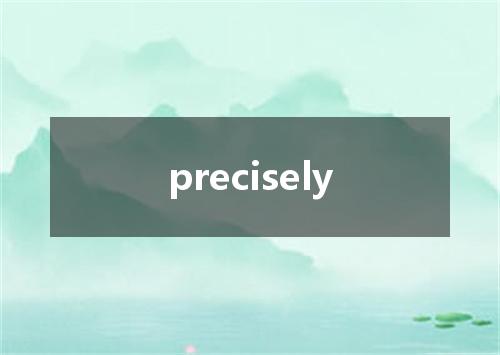 precisely是什么意思