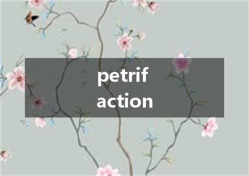 petrifaction是什么意思