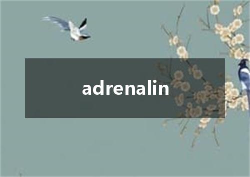 adrenalin是什么意思