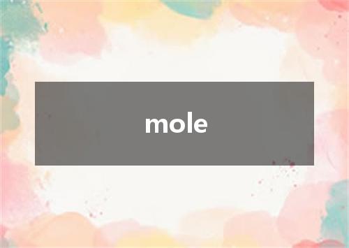 mole是什么意思