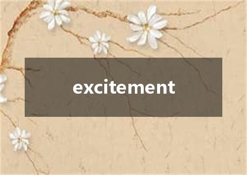 excitement是什么意思