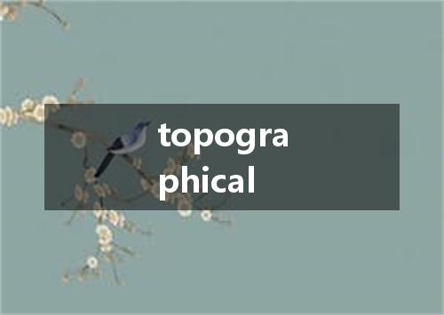 topographical是什么意思