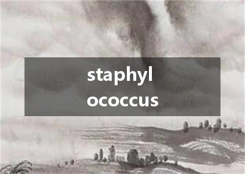 staphylococcus是什么意思