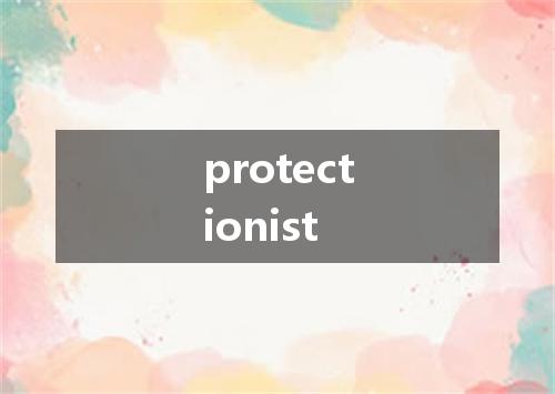 protectionist是什么意思
