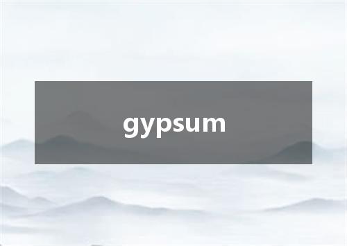 gypsum是什么意思